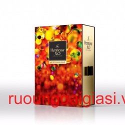 Hennessy XO gift box 2020