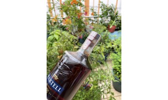 Cách phân biệt rượu Martell thật giả